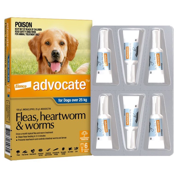 Advocate canine store