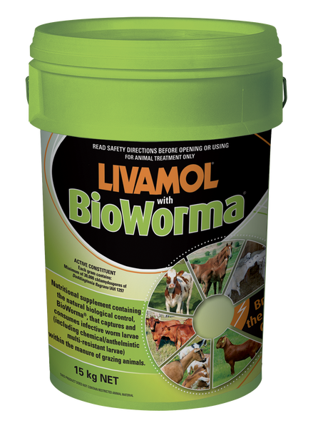 Buy International Animal Health Livamol With BioWorma Online | Equine ...