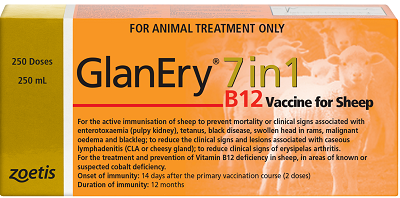 Buy Zoetis GlanEry 7 in 1 B12 250ml Online | Livestock Vaccines - AIRR